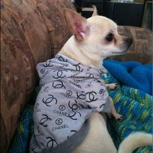 Meet your Posher, Karine